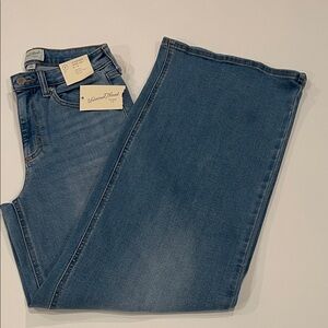 Madewell Classic Indigo Jeans